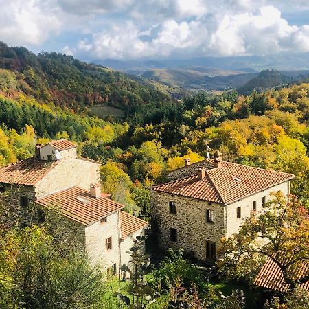 Bio Agriturismo Il Vigno Caprese Michelangelo ภายนอก รูปภาพ