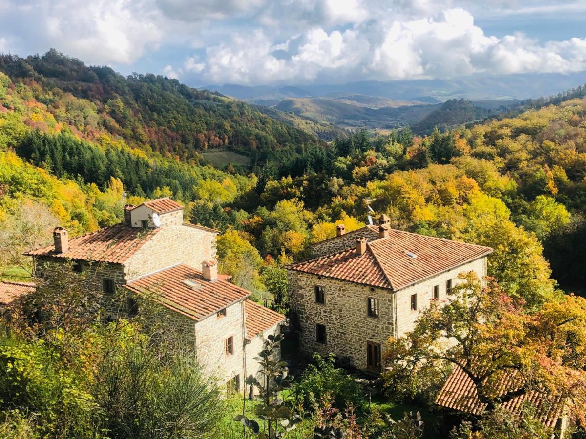 Bio Agriturismo Il Vigno Caprese Michelangelo ภายนอก รูปภาพ