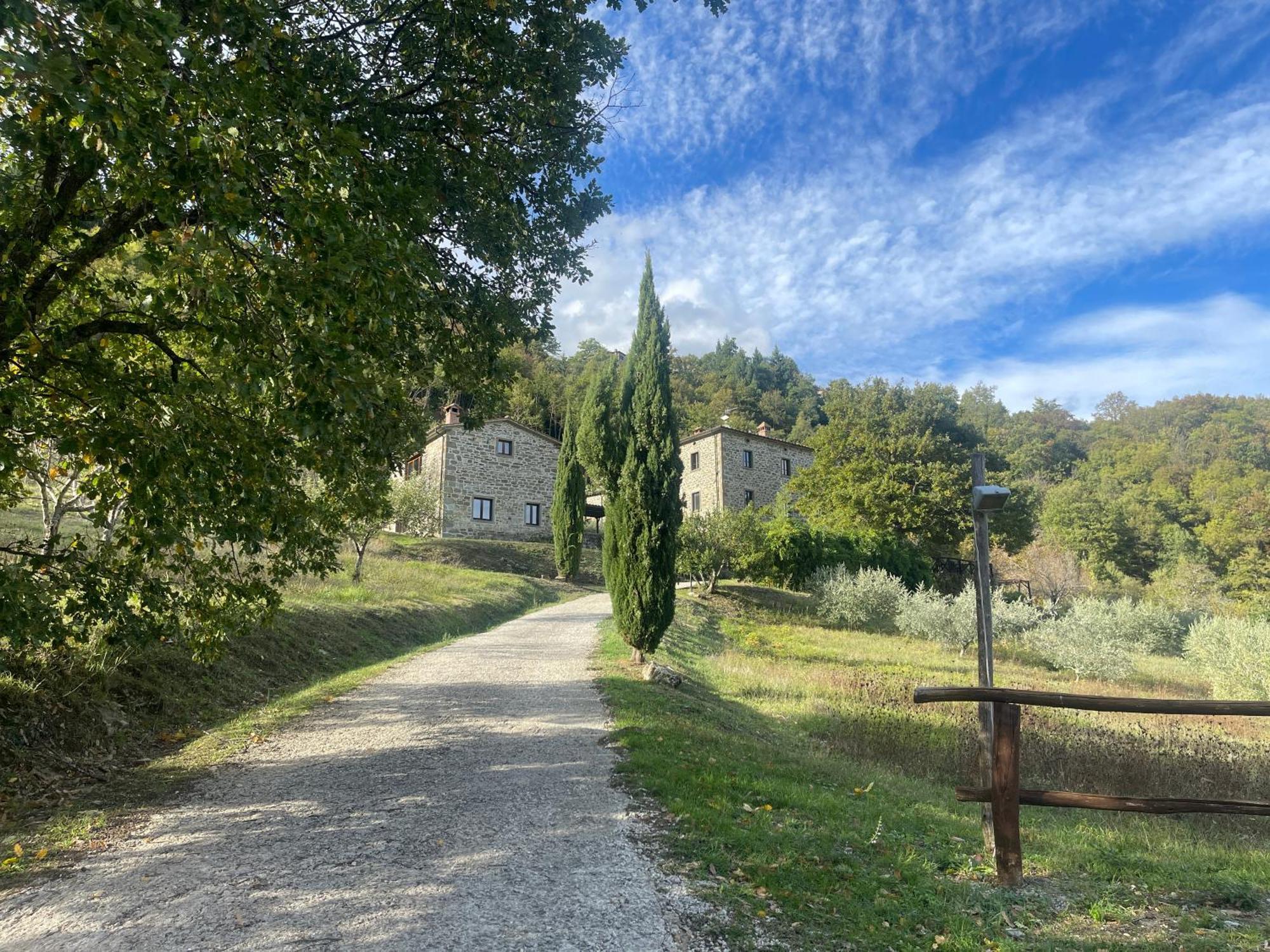 Bio Agriturismo Il Vigno Caprese Michelangelo ภายนอก รูปภาพ
