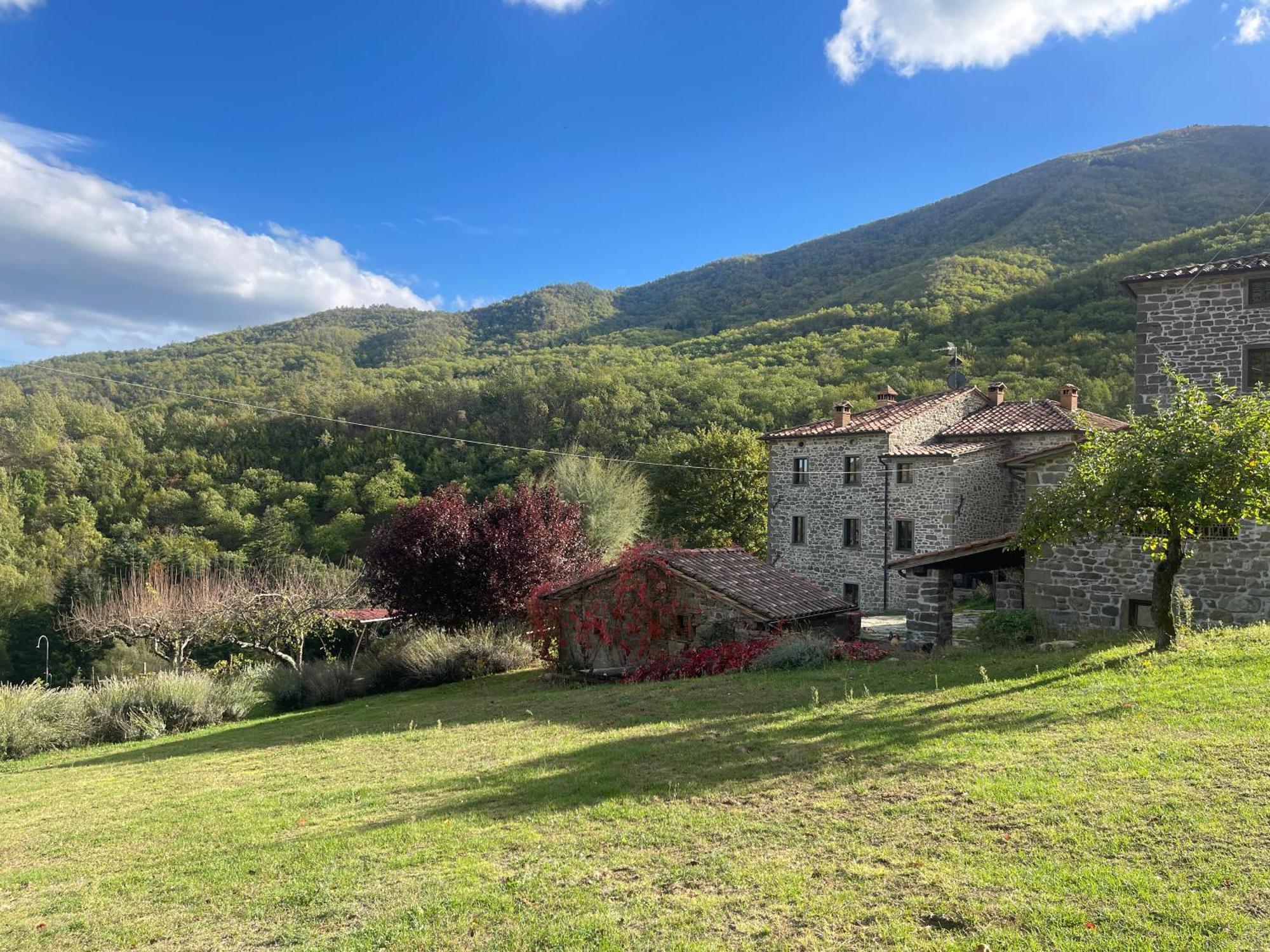 Bio Agriturismo Il Vigno Caprese Michelangelo ภายนอก รูปภาพ