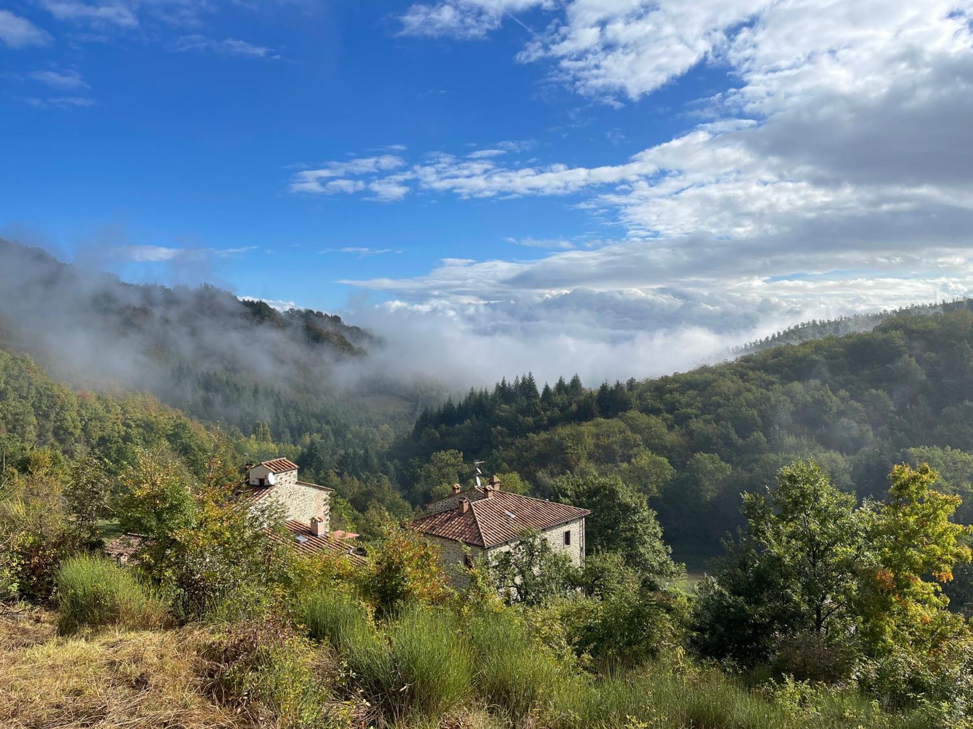 Bio Agriturismo Il Vigno Caprese Michelangelo ภายนอก รูปภาพ