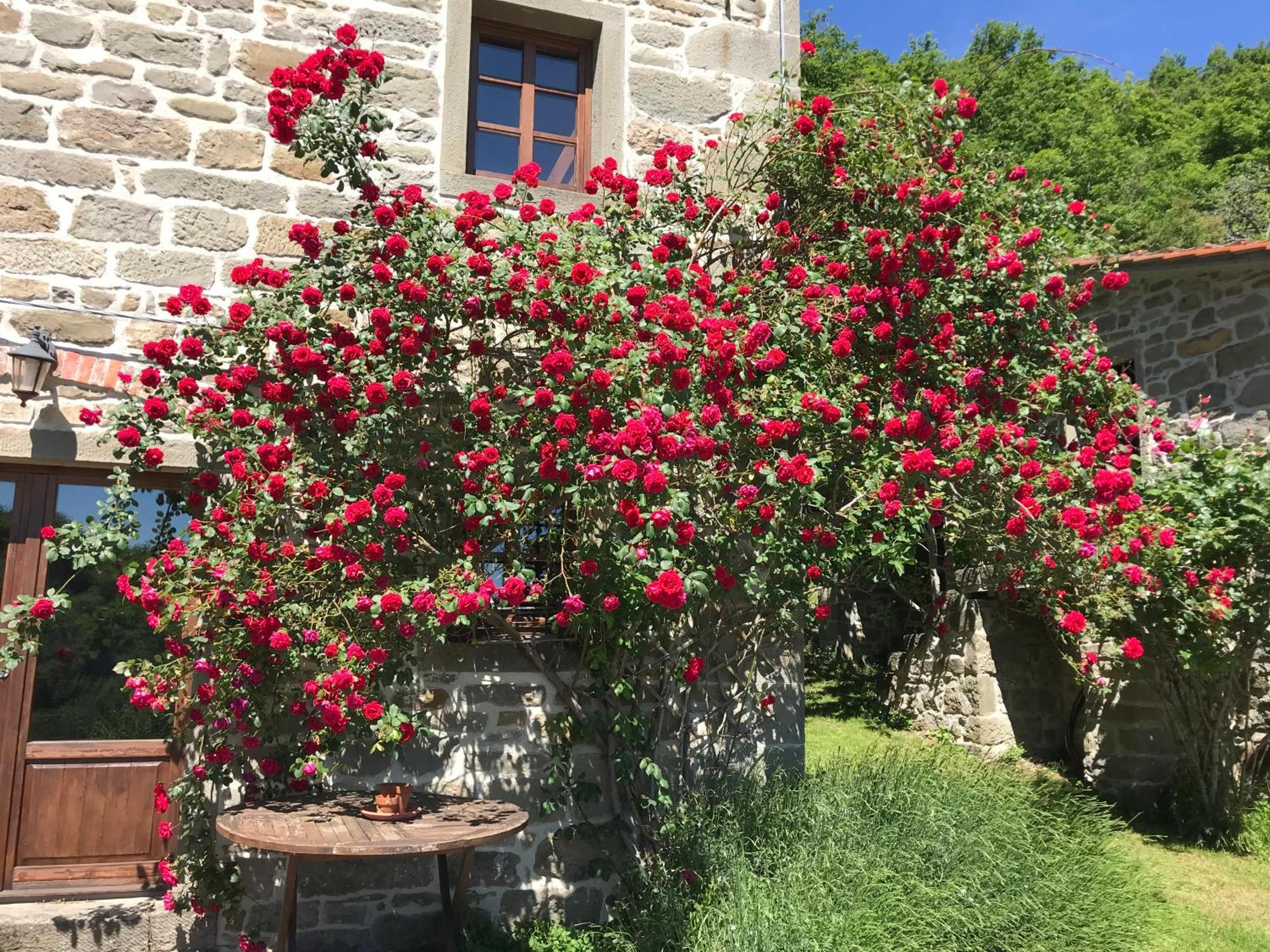 Bio Agriturismo Il Vigno Caprese Michelangelo ภายนอก รูปภาพ