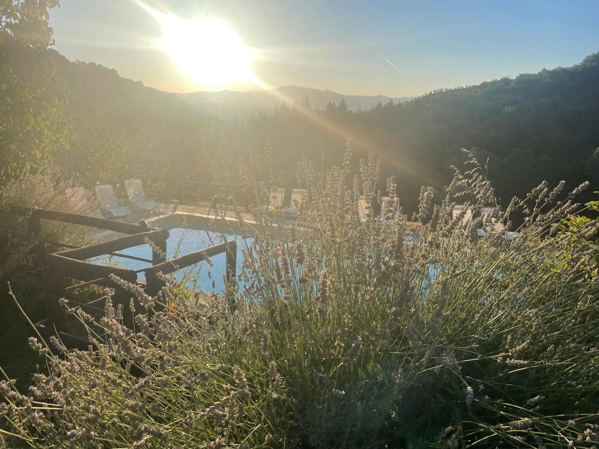 Bio Agriturismo Il Vigno Caprese Michelangelo ภายนอก รูปภาพ