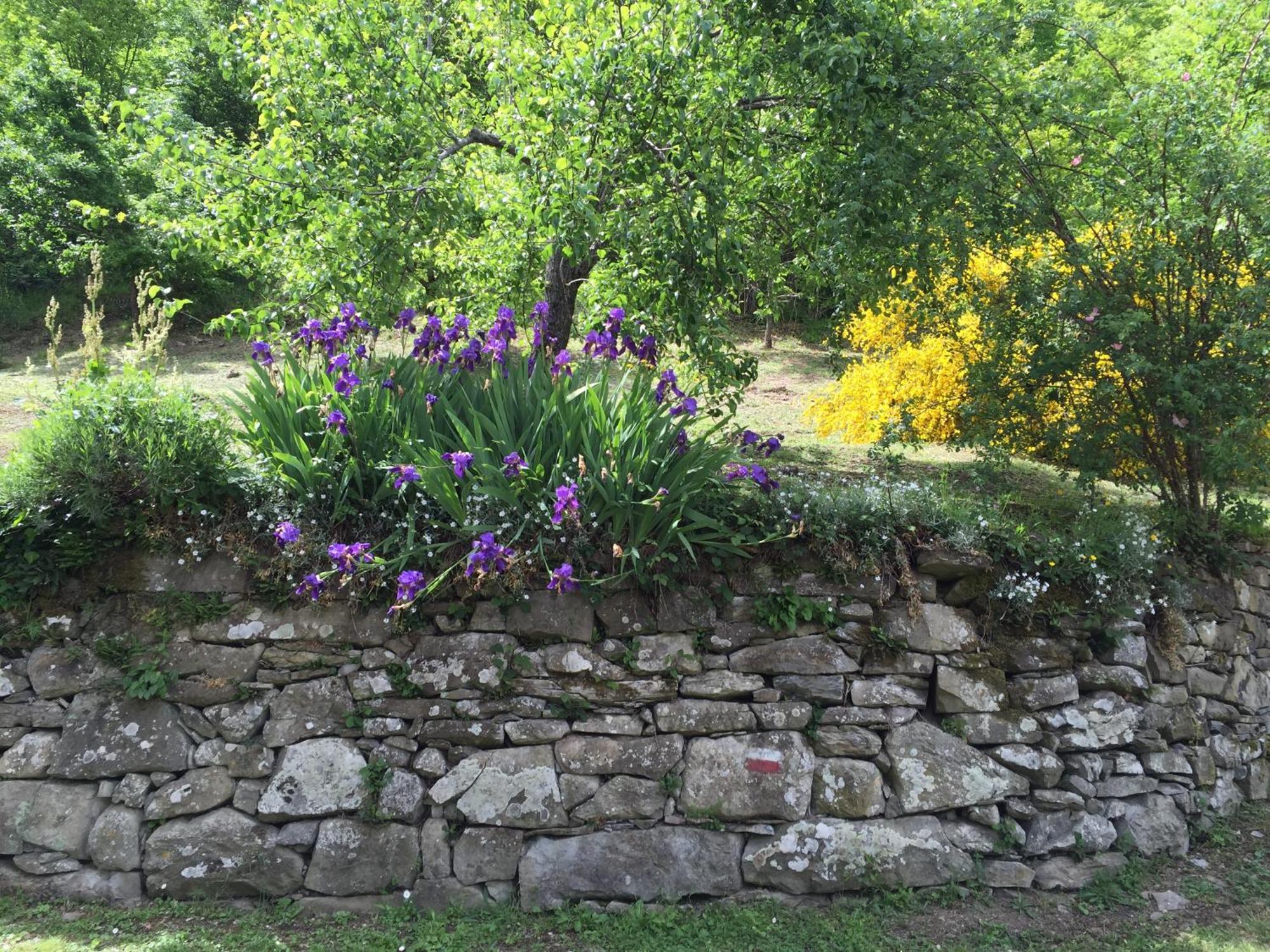 Bio Agriturismo Il Vigno Caprese Michelangelo ภายนอก รูปภาพ