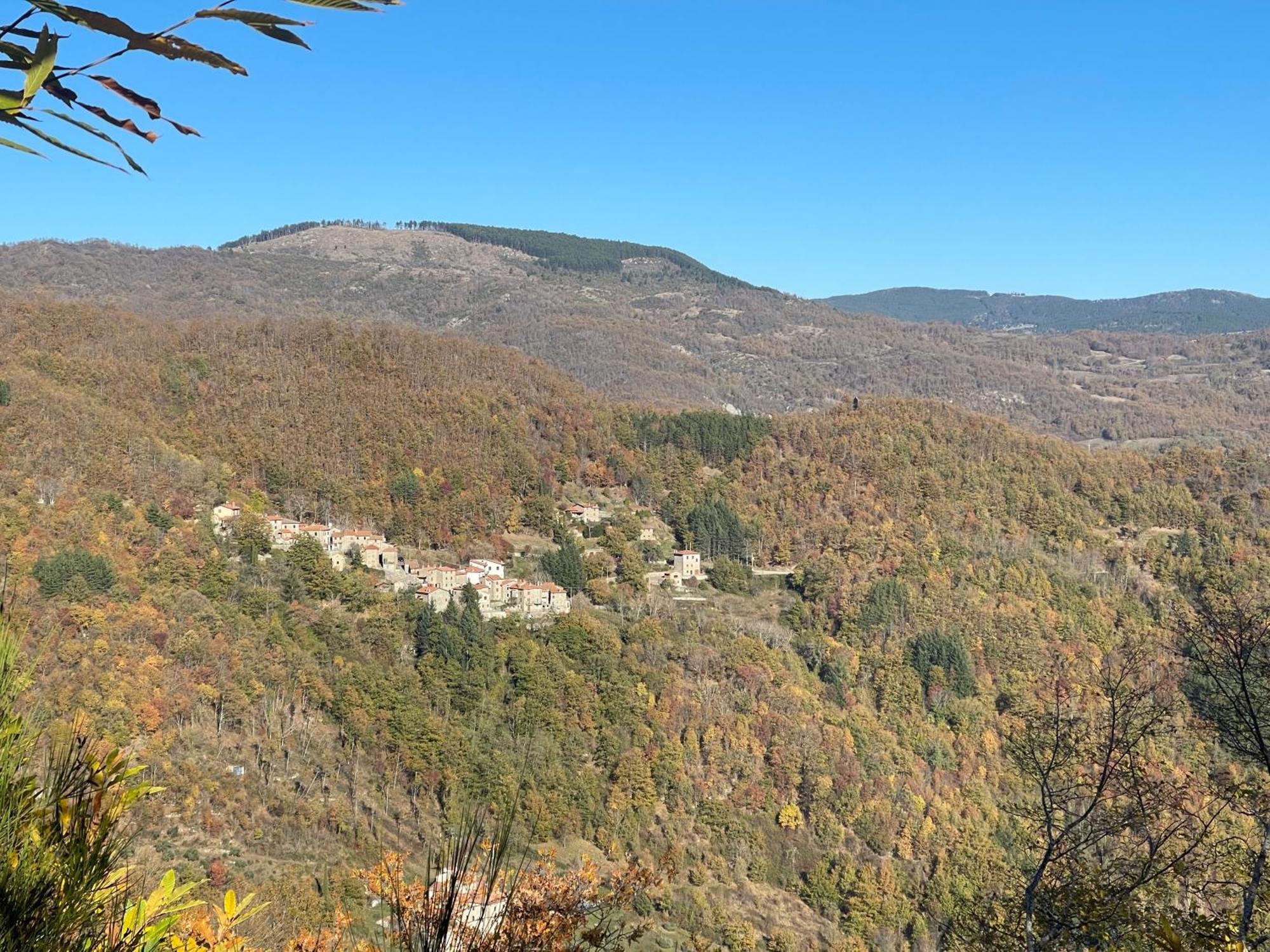 Bio Agriturismo Il Vigno Caprese Michelangelo ภายนอก รูปภาพ