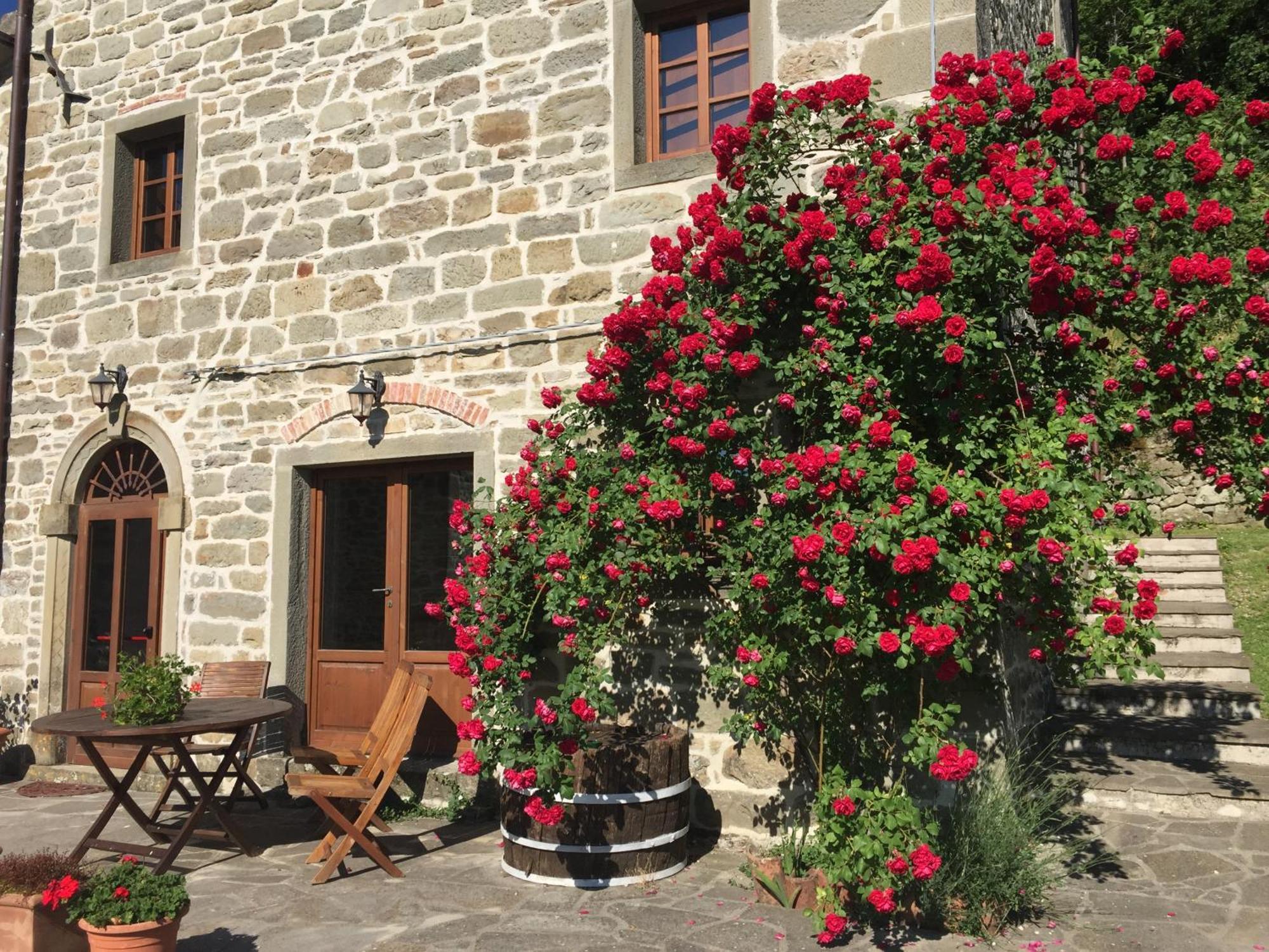 Bio Agriturismo Il Vigno Caprese Michelangelo ภายนอก รูปภาพ