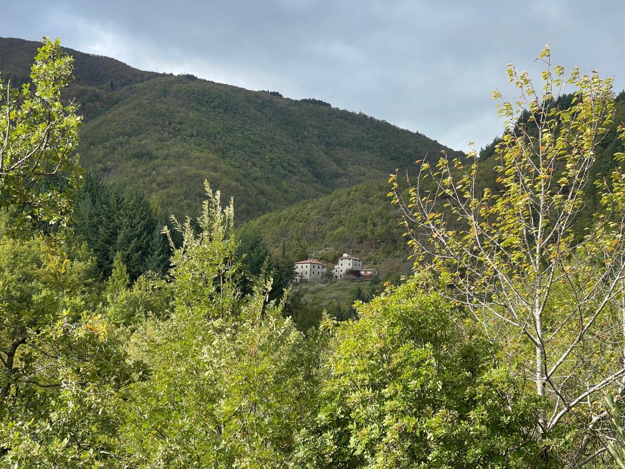 Bio Agriturismo Il Vigno Caprese Michelangelo ภายนอก รูปภาพ