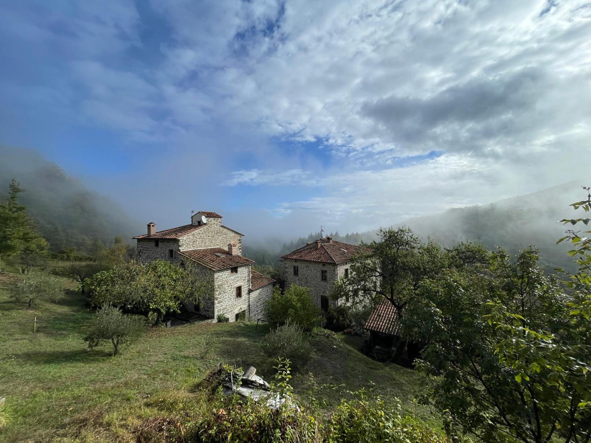 Bio Agriturismo Il Vigno Caprese Michelangelo ภายนอก รูปภาพ