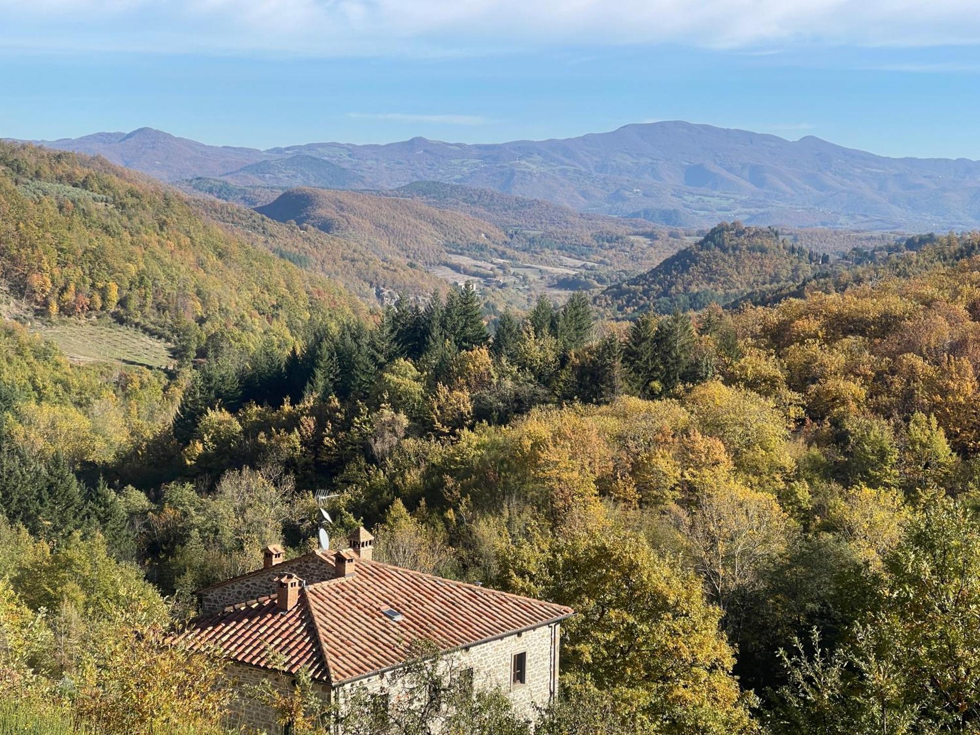 Bio Agriturismo Il Vigno Caprese Michelangelo ภายนอก รูปภาพ