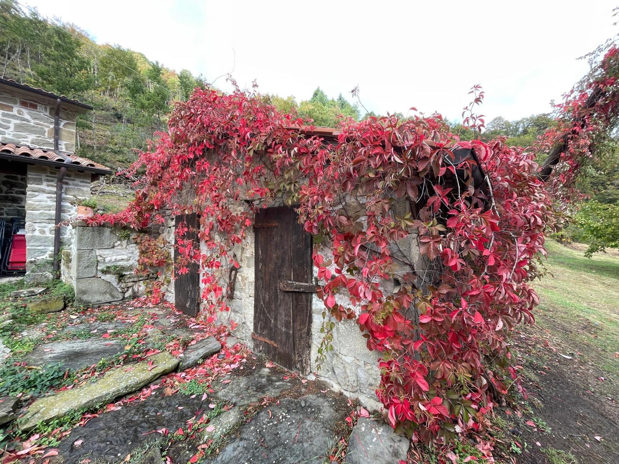 Bio Agriturismo Il Vigno Caprese Michelangelo ภายนอก รูปภาพ